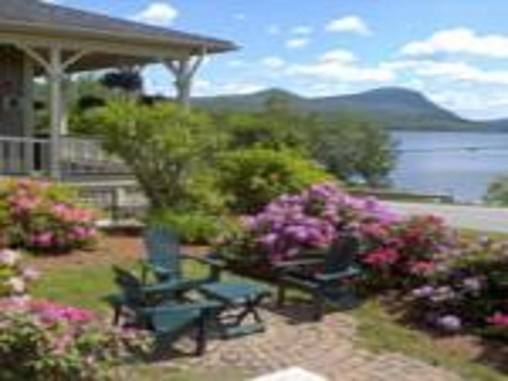 Willoughvale Inn Westmore Newport Ngoại thất bức ảnh