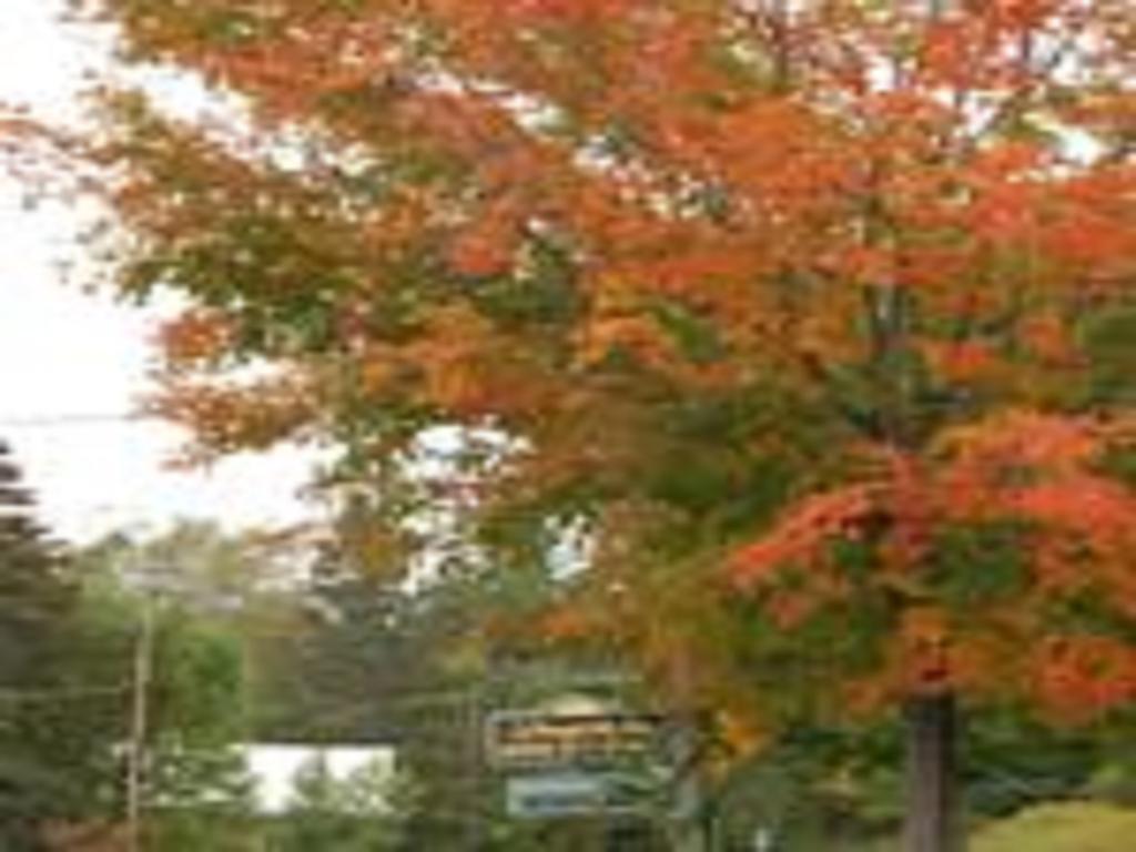 Willoughvale Inn Westmore Newport Ngoại thất bức ảnh