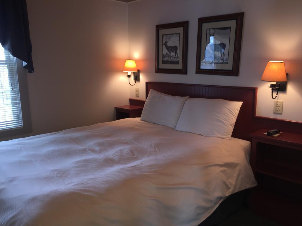 Willoughvale Inn Westmore Newport Phòng bức ảnh